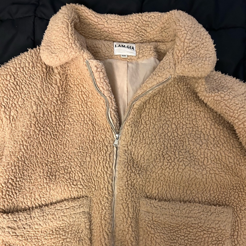 Iamgia teddy